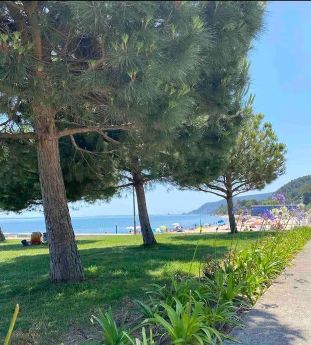 Setubal Rp House Apartamento Perto Do Mar E Comercio Na Luisa Todi Exterior foto